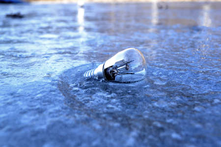 Light bulb in the ice. Electricity lamp on the ice background.の写真素材