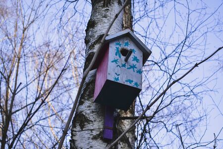 Colorful birdhouse on the tree. Nesting box.の写真素材