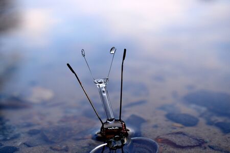 Light bulb in the water. Electricity lamp.の写真素材