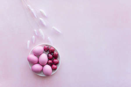 pink easter eggs on pink background with flower and place for text. Minimalの写真素材