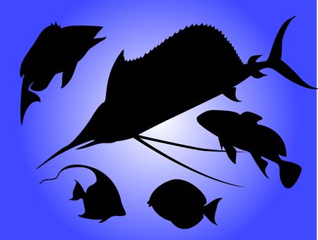 Fish silhouettesの写真素材