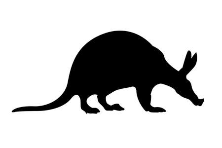 Aardvark silhouetteの写真素材