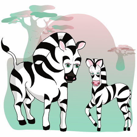 Two zebras in cartoon style, mom and baby, sunset and baobabs in the background.のイラスト素材