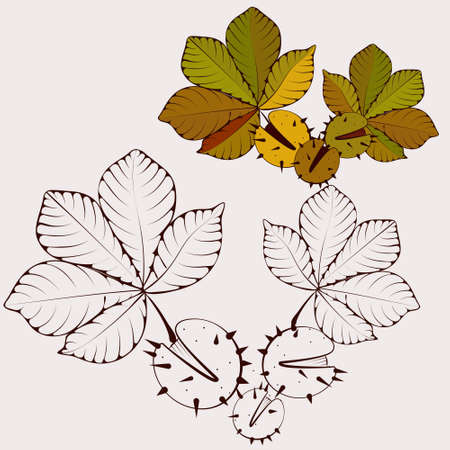 elements of nature, black and white outline and drawing in color.のイラスト素材