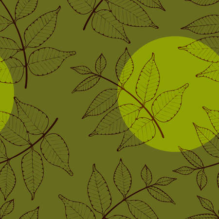 Contour drawing of a twig with leaves on a plain background and a bright spot.のイラスト素材