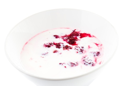 Fresh yogurt with  blackberry in a white bowl,closeupの写真素材