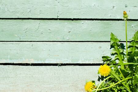 Old Colored Shabby Wooden Planks or wooden old texture の写真素材