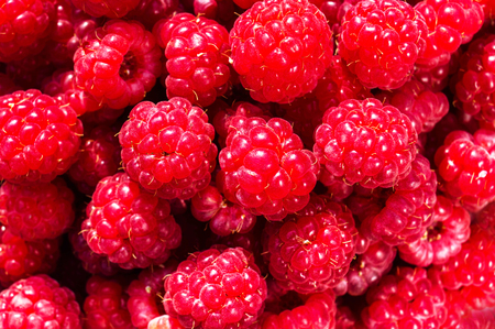 Fresh sweet raspberries close up. Raspberry fruit background macro. Food background.