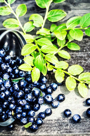 Fresh Blueberry with green leaves in a metal bucket on wooden background close up. Bowl of...