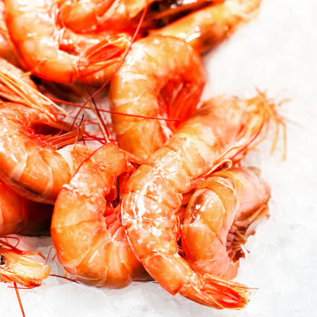 Shrimp cocktail background over white Ice on a market stall close up. Group of Unshelled tiger shrimpsの写真素材