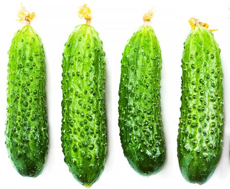 Cucumber set isolated over white background close up. Isolated vegetableの写真素材