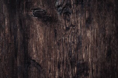 old wood background / old wooden texture