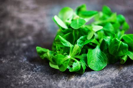Fresh salad leaves over black background or tableの写真素材