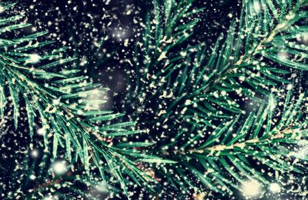 Merry Christmas and Happy New Year tree background with snowflakesの写真素材