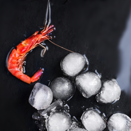 Fresh raw shrimps on a black board with ice - Food background with copy spaceの写真素材