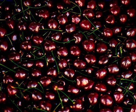 Cherry  Background - Fresh organic Cherry  fruits. Frame composition of fruits on market stall close upの写真素材