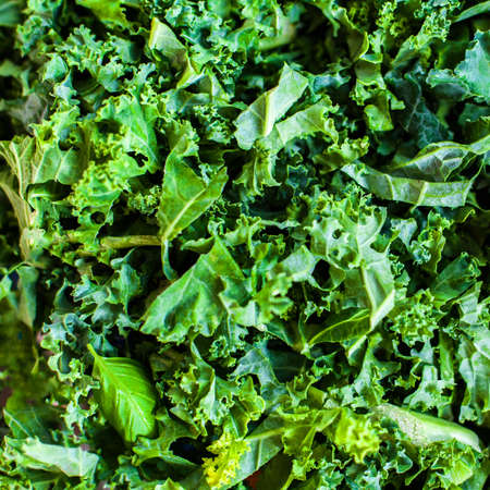 Fresh green kale salad leaves  background