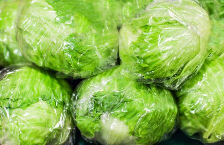 Green Iceberg lettuce heap  on market stall in supermarket. Iceberg salads  head backgroundの写真素材