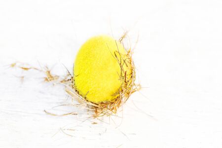 Easter eggs in a wicker nest on white wooden background with  copy space.  Festive decoration. Happy Easter!
の写真素材