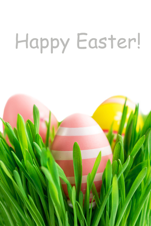  Easter eggs in green grass isolated on white background.  Happy easter poster, invitation or card