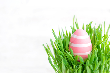  Easter eggs in green grass isolated on white background.  Happy easter poster, invitation or card