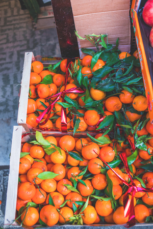 Citrus. Fresh organic Tangerines in a box on display at a farmers market. Ripe oranges. Harvest concept. Top view,
の写真素材