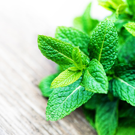 Fresh mint leaf,  lemon balm herb on wooden background with copyspace, close up
の写真素材