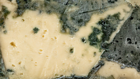 Blue cheese Gorgonzola. Mold cheese textured backgroundの写真素材