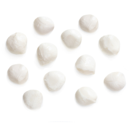 Traditional Italian Mozzarella cheese isolated on white background.  Top viewの写真素材