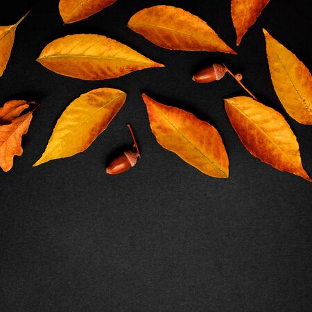 Autumn composition with golden maple and oak leaves on black background. Flat lay. Top view. Copy spaceの写真素材