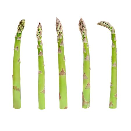 Asparagus Isolated. Collection of fresh  asparagus steams on white background close up. Food concept.の写真素材