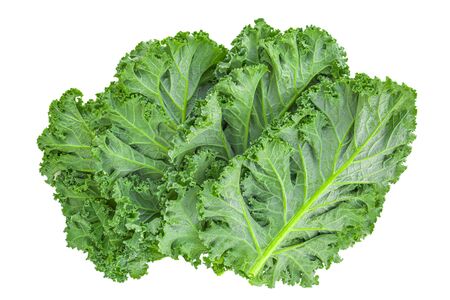 Raw Kale salad leaves isolated on white background.
の写真素材