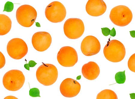 Fresh Apricot fruits with leaves isolated on white background. Top view. Flat lay. Apricot Patternの写真素材