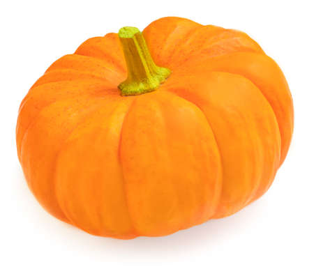 Whole pumpkin isolated on white background. Fresh pumpkin for Halloween Side viewの写真素材