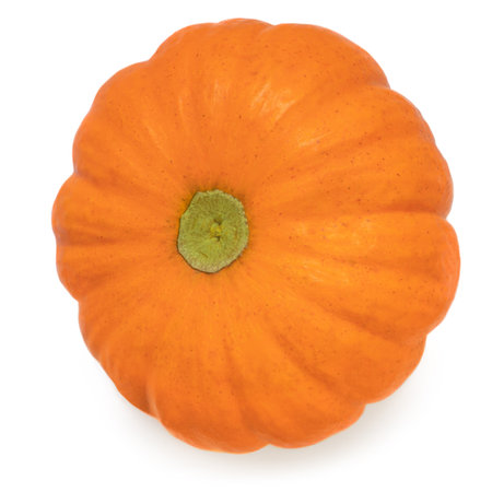 Pumpkin isolated on white background. Fresh pumpkin top viewの写真素材