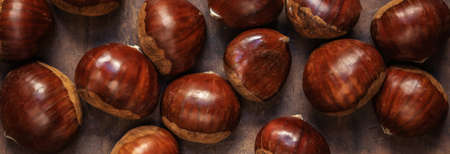 Chestnuts on on an old board with copy space. Autumn fall concept. Horse chestnuts top viewの写真素材
