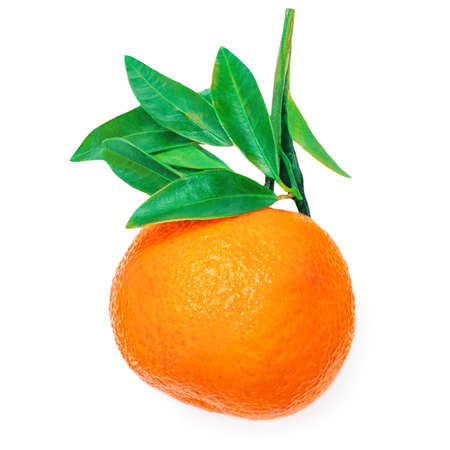 Tangerine or clementine oranges fruits with green leaf isolated on white background. Fresh picked mandarins Top view. Flat layの写真素材