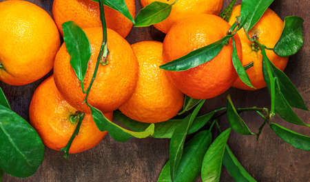 Mandarines oranges fruits or tangerines with green leaves on a wooden table. Copyspace. Fresh picked mandarins Tの写真素材