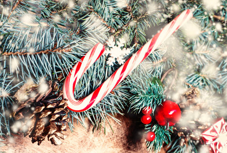 Christmas background with fir branches and xmas decorations and snowflakesの写真素材