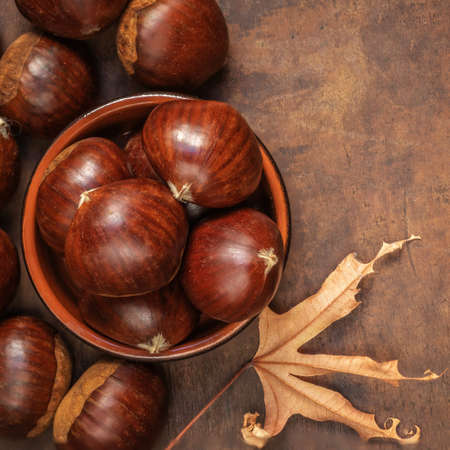 Chestnuts on on an old board with copy space. Autumn mood. Horse chestnuts top viewの写真素材