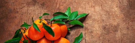 Mandarines oranges fruits or tangerines with green leaves on a dark wooden background. Copyspace.の写真素材