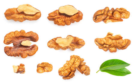 Walnut Isolated. Walnut kernel Nut on white background. Set. Top view. Flat layの写真素材