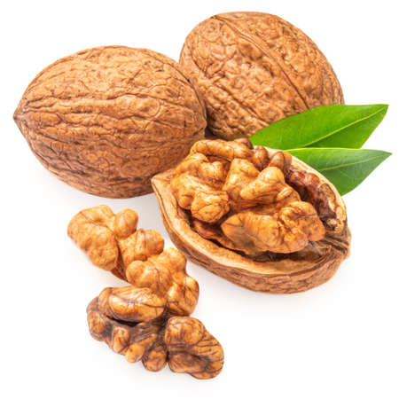 Walnut Isolated. Walnut kernel Nut with green leaves on white background.の写真素材