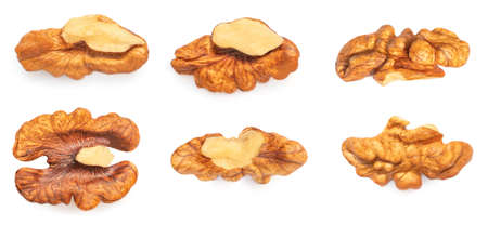 Walnut Isolated. Walnut kernel Nut on white background. Pattern. Top view. Flat layの写真素材