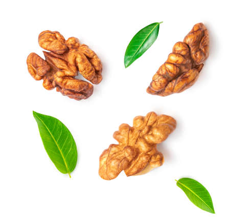 Walnut Isolated. Walnut kernel Nut on white background. Collection. Top view. Flat layの写真素材