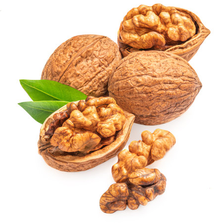 Walnut Isolated. Walnut kernel Nut with green leaves on white background.の写真素材