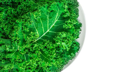 Kale leaf salad vegetable isolated on white background. Kale closeup on a plate. Flat lay. Food vegan concept.の写真素材