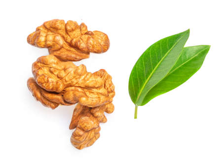 Walnut Isolated. Walnut kernel Nut on white background. Top view. Flat layの写真素材