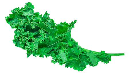 Kale leaf salad vegetable isolated on white background. Kale closeup. Flat lay. Food vegan concept.の写真素材