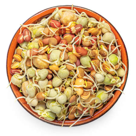 Bean Sprouts in a bowl isolated on a White Background. Moong or mung sprouts Macro. Top view. Flat lay.の写真素材